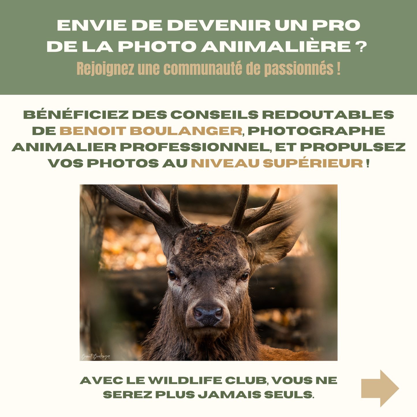 Le Wildlife Club