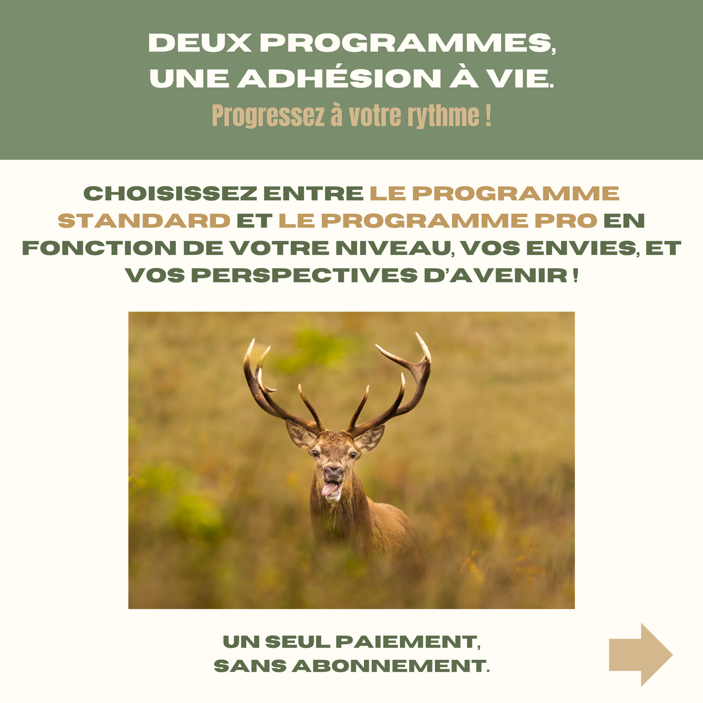 Le Wildlife Club
