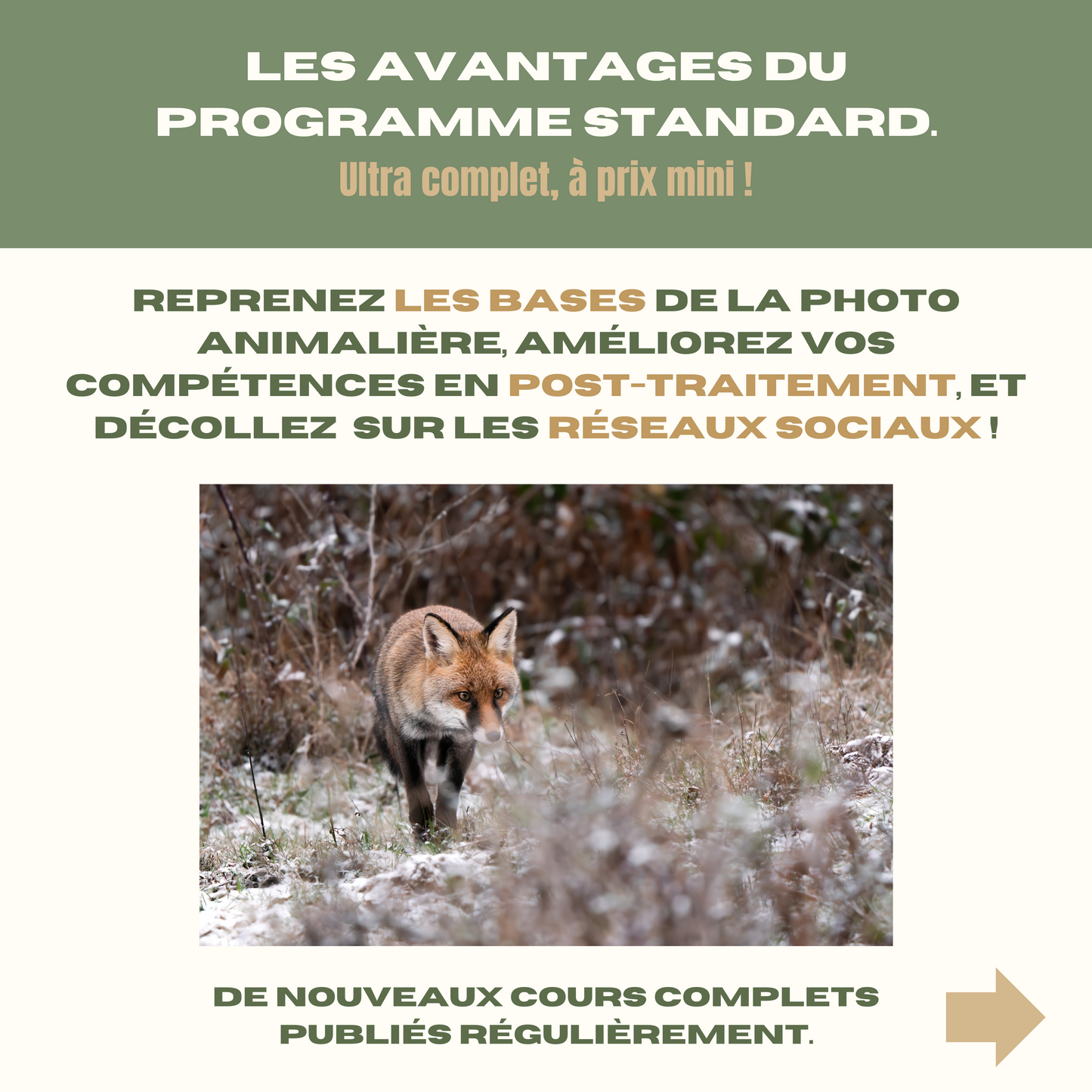 Le Wildlife Club