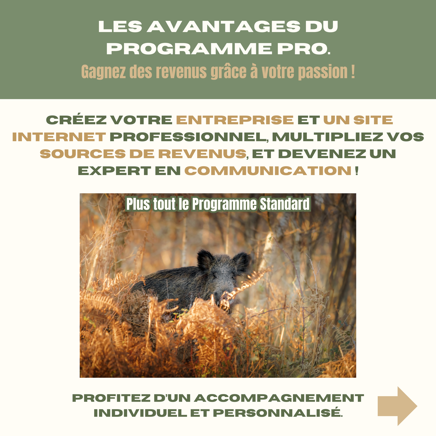 Le Wildlife Club