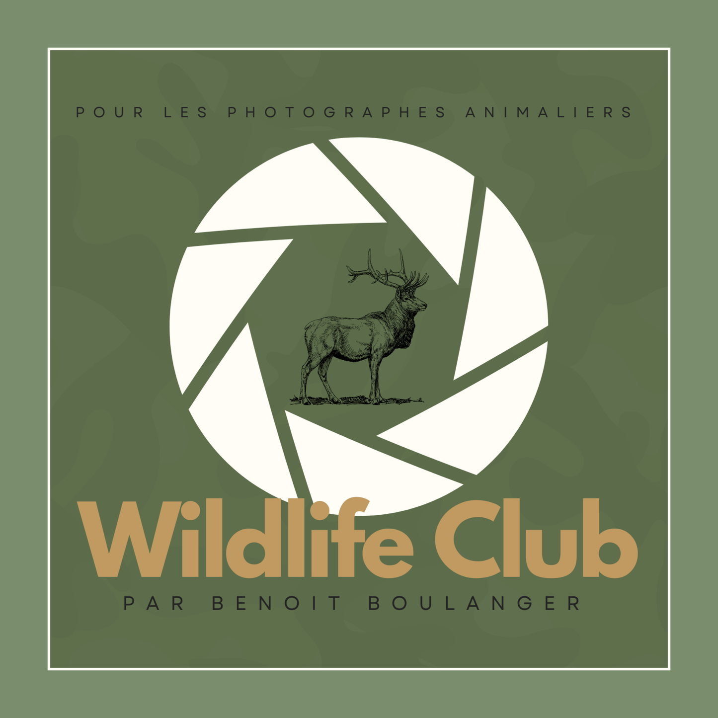 Wildlife Club